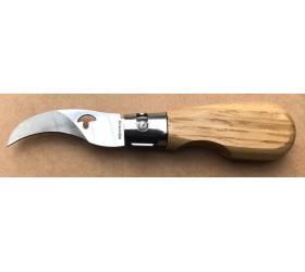Mushroom knife - Oak Wood