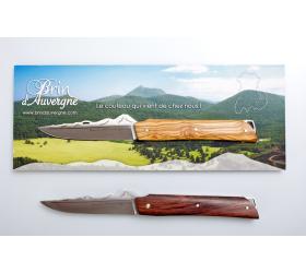 Brin d'Auvergne - Pocket - OAK WOOD from Bellevue