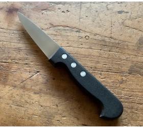 Saigner 4 4/5in (11 cm) - Stainless Steel - Black Plastic Handle - Ref 462