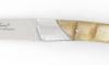 Compagnon Ram Horn