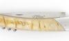 Grand Cru Ram Horn 4