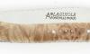 Laguiole Pocket Stabilised Marple 14C28 4