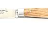 Le Saint Bernard Olive wood