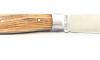 Le Saint Bernard Olive wood 2
