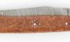 Le Saint Bernard Damascus Amboina Burl 4