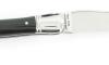 Laguiole Nature - chiseled - Black Horn 2