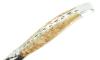 Laguiole Stabilised Marple - 2 bolsters 5