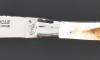 Laguiole Warthog Ivory - 2 bolsters