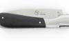 Pialincu  Ebony Wood 4