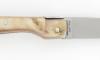 Sperone Ram Horn 2