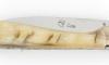 Sperone Ram Horn 4