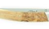 La Thiers Nature Juniper Wood 3