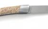 La Thiers Nature Birch Wood 2