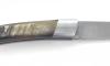 La Thiers Nature Raw Horn 2
