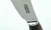 Butter Knife - Horn Handle 4