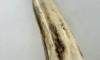 Butter Knife - Back Bolster - Stag Handle 3
