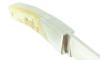 Thiers 11cm Ram Horn 5