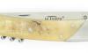 Thiers 11cm Ram HORN with CORK-SCREW 4
