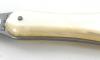 1 Oyster LE BEC Knife - Oyster shell Handle - color : White