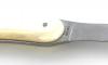 1 Oyster LE BEC Knife - Oyster shell Handle - color : White 2