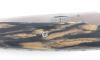 Le Thiers White Ebony Wood 5
