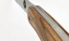 Phénix - Olive Wood Handle 4
