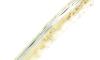 Le Thiers Coursolle 12 cm Birch wood 5
