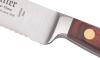 Tomato Knife 5 in 2
