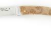 Le Thiers stabilized Poplar