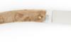 Le Thiers stabilized Poplar 2
