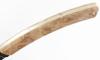 Le Thiers stabilized Poplar 5