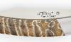 Le Thiers Mamouth Molar 4