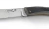 Le Thiers Mamouth Ivory