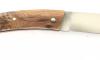 Le Thiers 200 Juniper Wood 3