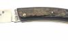 Le Thiers Gross Buffalo