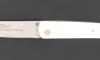 Le Thiers Stabilized Camel Bone