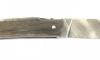 Le Thiers Pirou Giraffe Bone - Damascus Blade 3