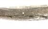 Le Thiers Pirou Giraffe Bone - Damascus Blade 5