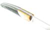 Le Thiers Pote - Giraffe Bone Bolster - stabilized maple Handle 5