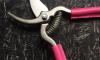 18 cm Garden shears - FUSHIA Leather covering branches 3