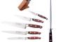 Gift Box - Small Block - sabatier stainless steel 5 piece knife block + 1 sharpening Steel