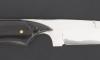 MidNight - Polished Buffalo 2