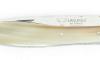 Crocus - Blond Horn - 1 Bolster 4