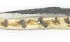 Laguiole 12 cm - Ram Horn - Full Handle - Gross Forge Blade 4