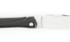 Laguiole 12 cm - Buffalo Full Handle - Chiseled Spring/Platinum and blade 2