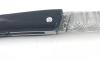Le Thiers - Full Handle - Ebony Wood - Chiseled Spring/Platinum and blade - Damascus Blade 3