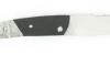 Le Thiers -Buffalo Handle - Middle Damas Bolster - Chiseled Spring/Platinum and blade 2