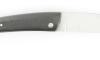 Le Thiers Formula 1 - Carbon Fiber 2