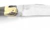 Laguiole Tradition 12 cm - 2 Brass Bolsters - 2 pieces - Blond Horn 2