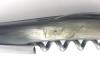  Wine waiter Horn from Aubrac